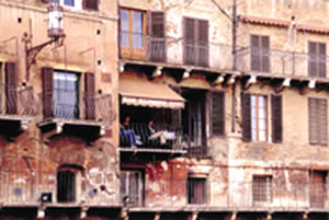 �o�a�p�@���]�����x�A�γ\�O������Ӽs�������̦n���a��