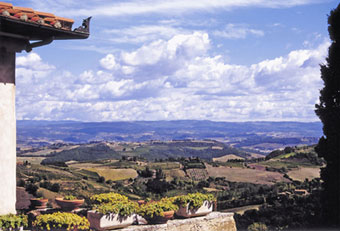 �q�t�N���C�ձ�V�P�D�������d���г�